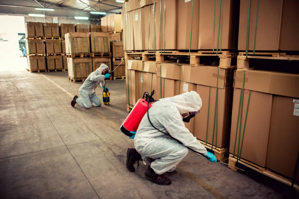 Best Flea Control Services  in Harpersville, AL