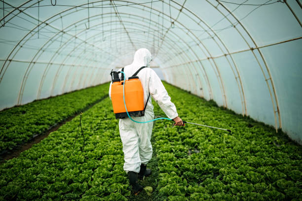 Best Commercial Pest Control Services  in Harpersville, AL