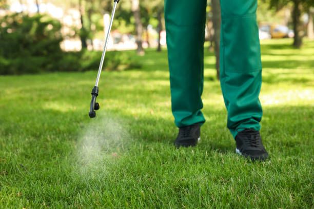 Best Pest Control for Homes  in Harpersville, AL