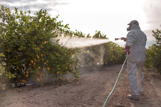 Best Affordable Pest Control Services  in Harpersville, AL
