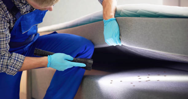 Best Insect Control  in Harpersville, AL