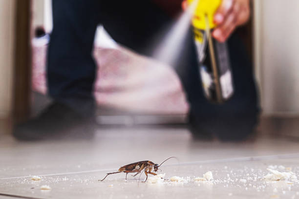 Pest Prevention Services in Harpersville, AL